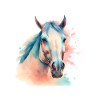 Pferd Pferde Pferdekopf