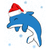 Christmas Dolphin
