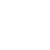 Leader
