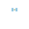 Guatemala Guatemalan Flag