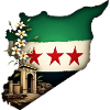 free Syria