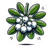 Mistletoe