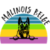 Belgian Malinois Belgian Malinois