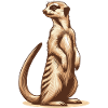 Meerkat