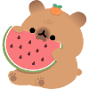 Capybara Pastèque