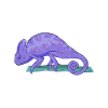 Chameleon Gifts