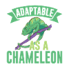 Cadeaux Caméléon