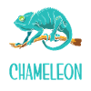 Chameleon Gifts