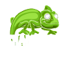 Chameleon Gifts