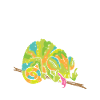 Chameleon Gifts