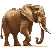 Elefant