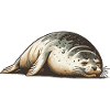Seal