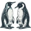 Penguins