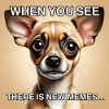 Mèmes de chiens