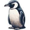 Pengu