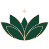 Lotus Lotus Flower