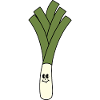 Leek