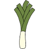 Leek