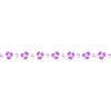 Small pansy line