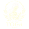 Funny Toga party outfit
