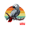 african grey parrot