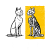Schrödinger's Cat Dead And Alive