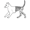Schrödinger's Cat Dead And Alive