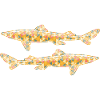 Dogfish Geometric