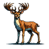 roe deer