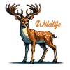 Deer Wildlife