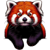 Red panda