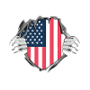 American flag unveiling design