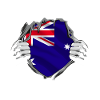 Australian flag unveils pride