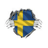Sweden flag proudly unveiled
