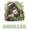 Gorillas Gorilla