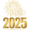 New Year 2025