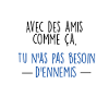 amis/ennemis