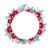 Buchstabe c Blumenkrone