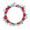 Buchstabe b Blumenkrone