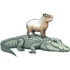 Capy & Croc Dream Team