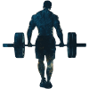 Training & Muscle Building: Chic Gift