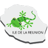 Grenouille tropicale Réunion
