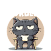 Gray Cat - Break Over?