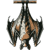 Bat