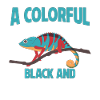 Cadeaux Caméléon