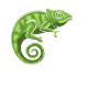 Chameleon Gifts