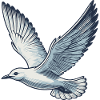 Mouette