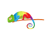 Chameleon Gifts