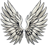 Ailes d’ange Ailes Anges