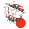 carpe koï japonaise poisson nishikigoi